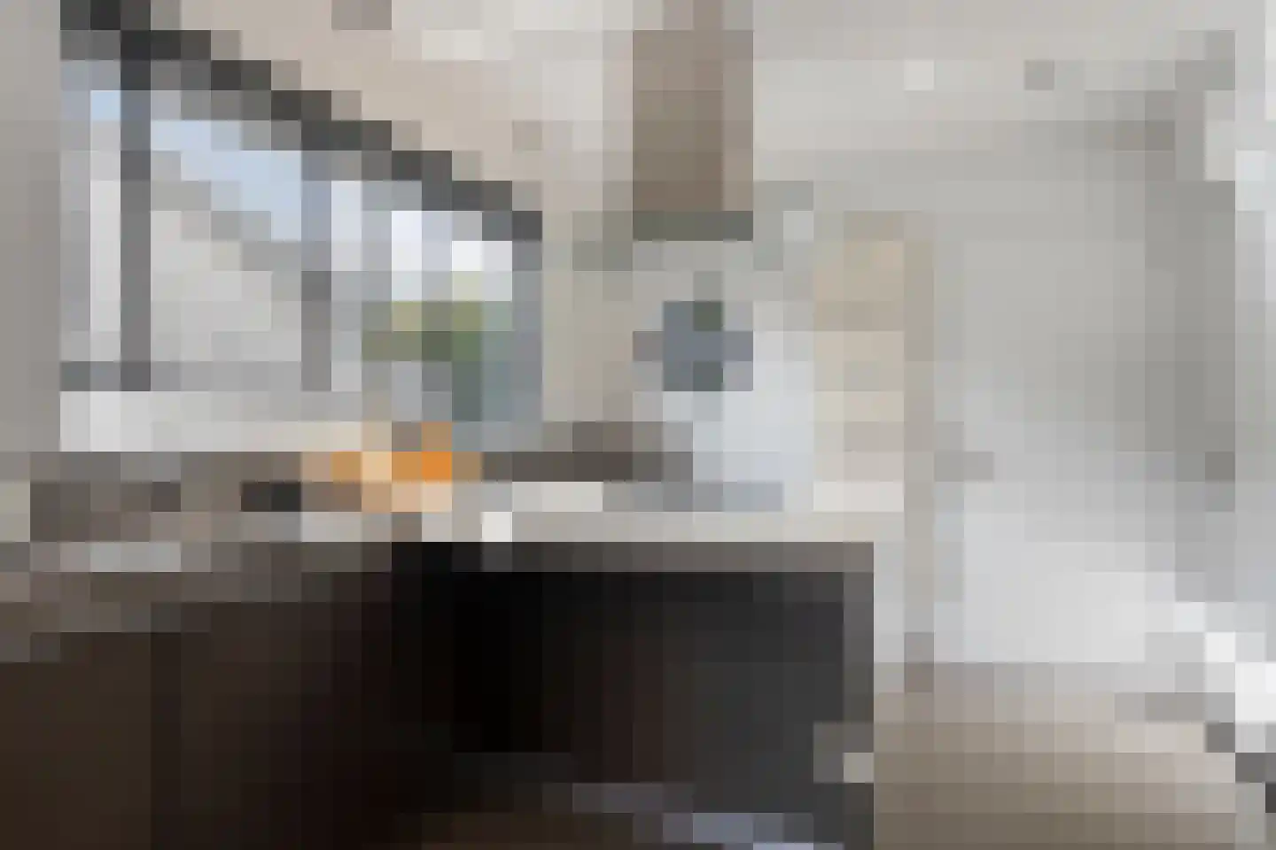 Clausstraat 4 Hulst thumbnail 19