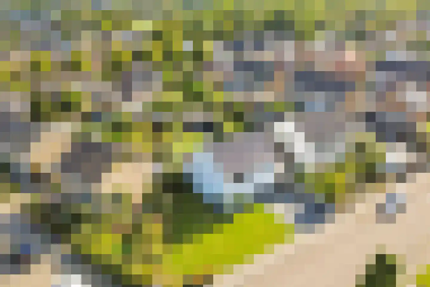 Clausstraat 4 Hulst thumbnail 4