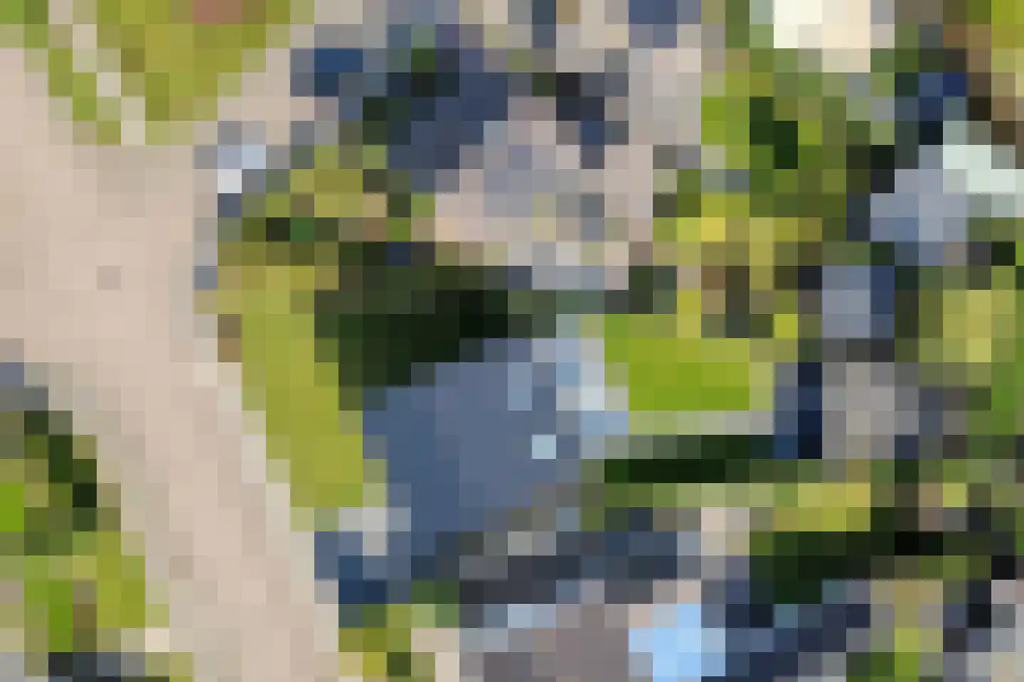 Clausstraat 4 Hulst thumbnail 46