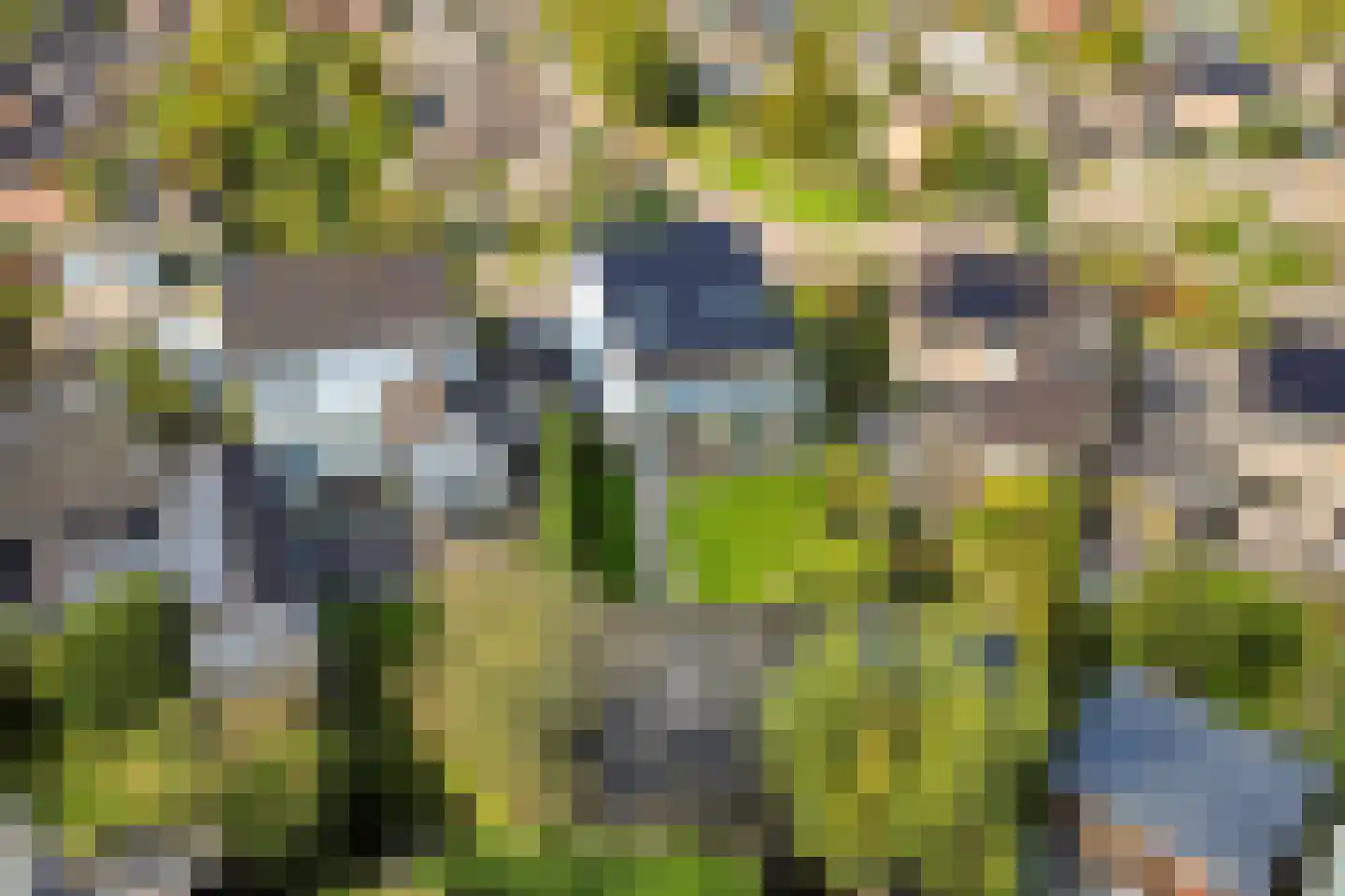 Clausstraat 4 Hulst thumbnail 47