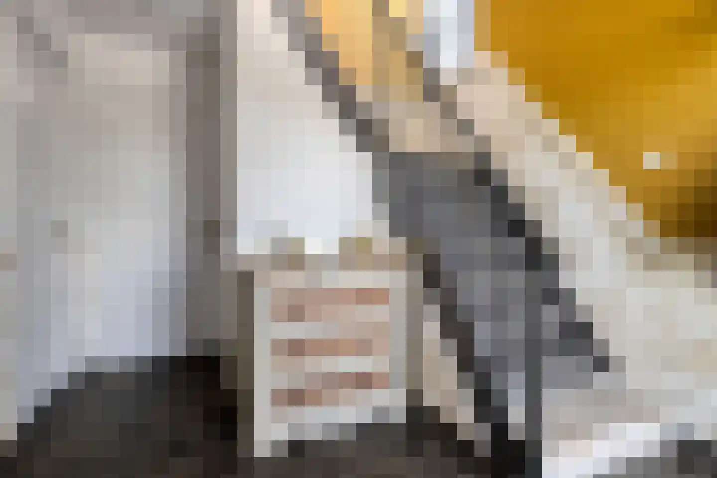 Clausstraat 4 Hulst thumbnail 8