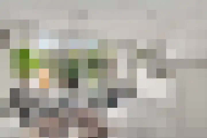 Clausstraat 4 Nederweert thumbnail 8