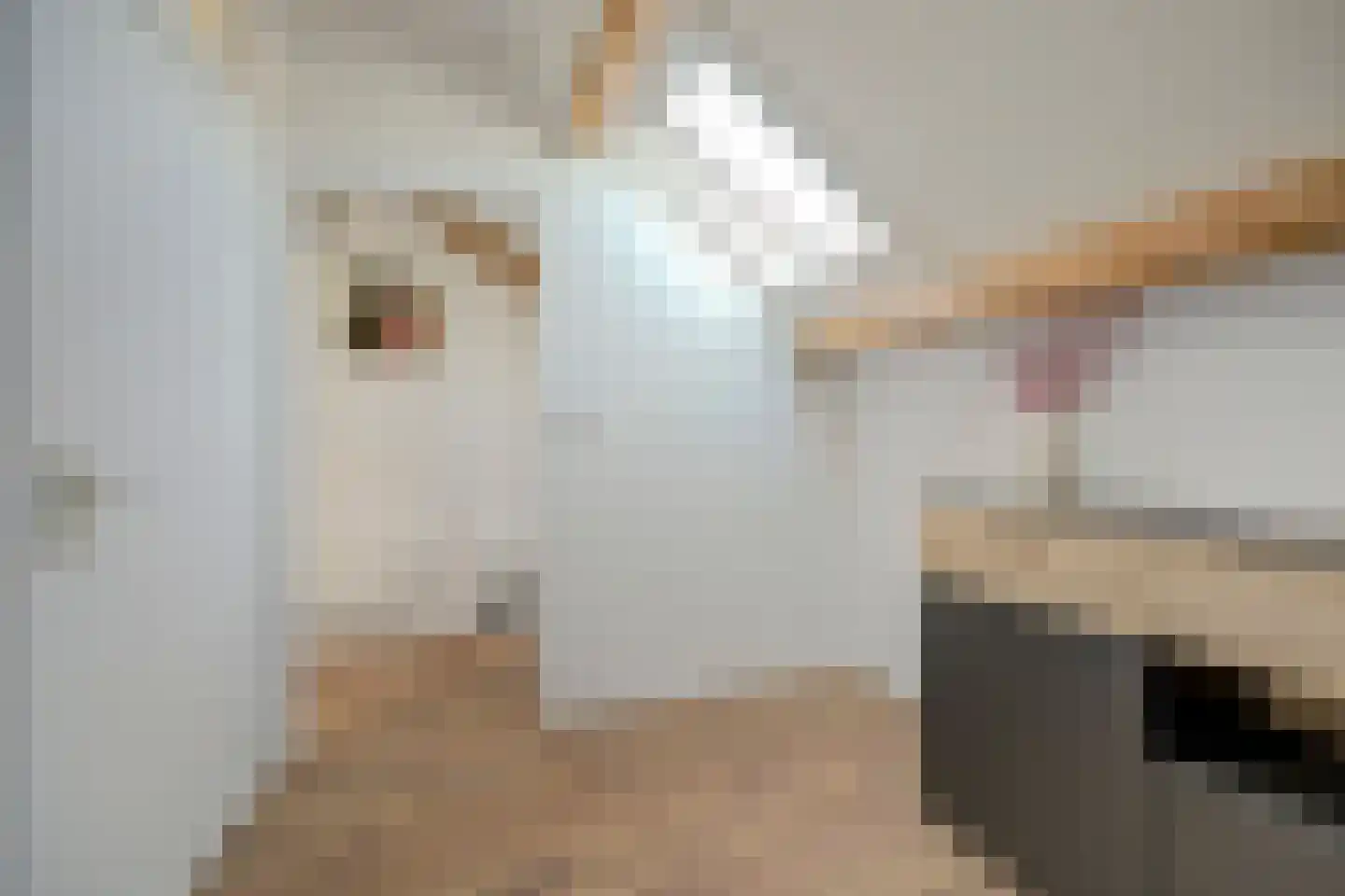 Clausstraat 4 Waarde thumbnail 33