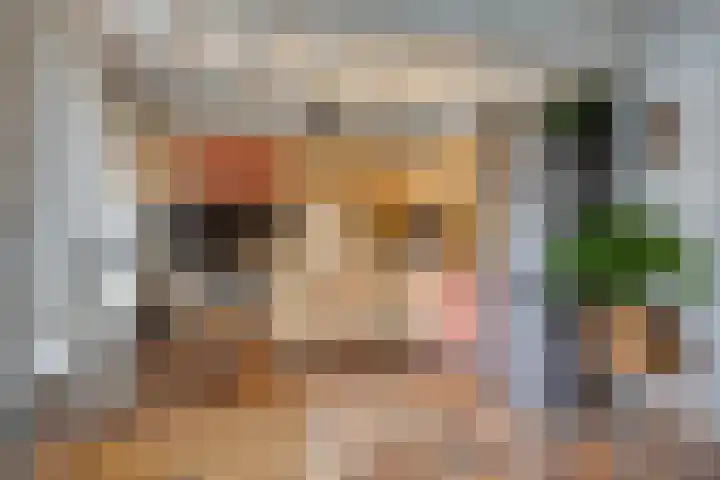 Clausstraat 44 Hulst thumbnail 10
