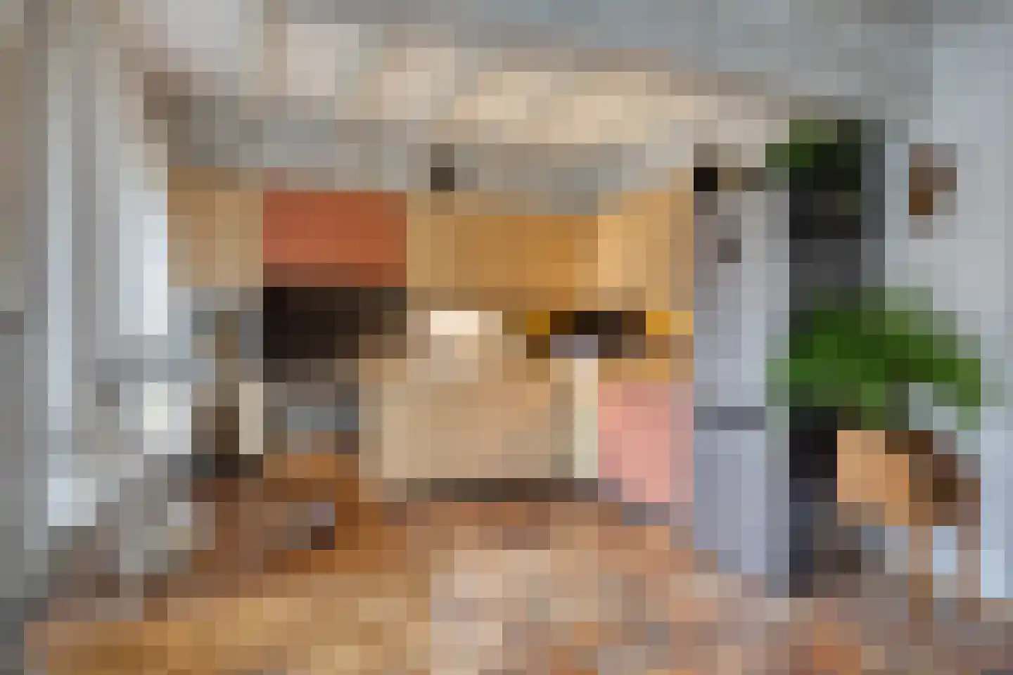 Clausstraat 44 Hulst thumbnail 10