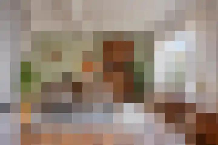 Clausstraat 44 Hulst thumbnail 12