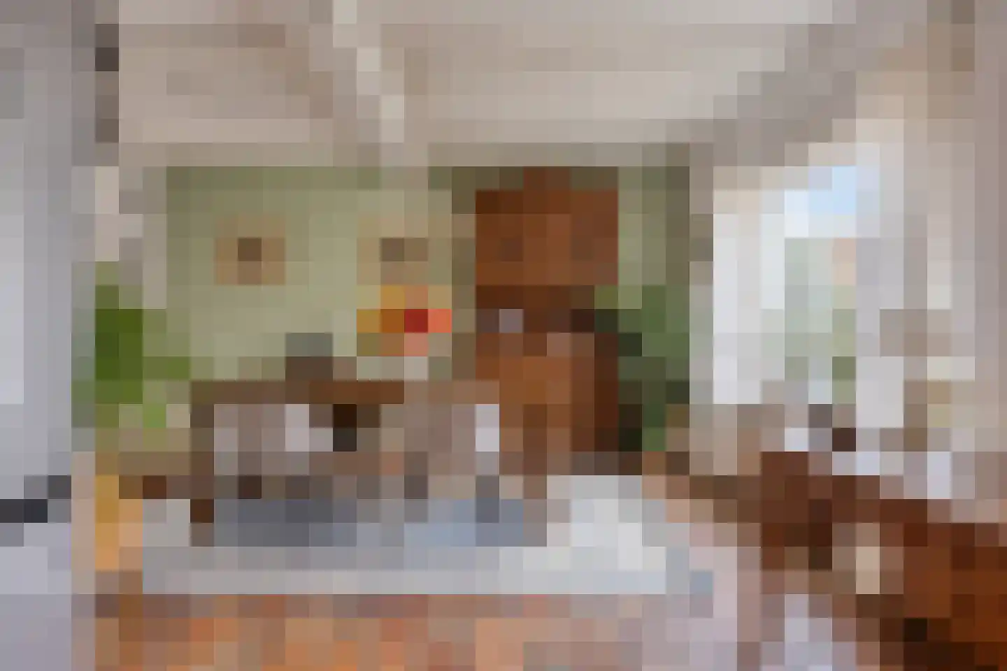 Clausstraat 44 Hulst thumbnail 12