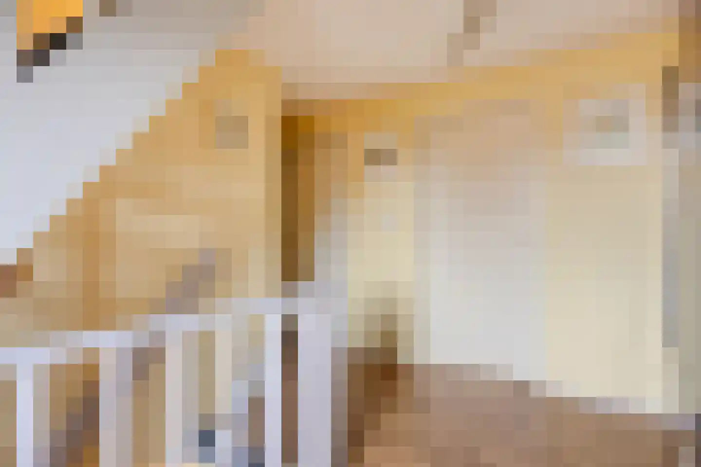 Clausstraat 44 Hulst thumbnail 14