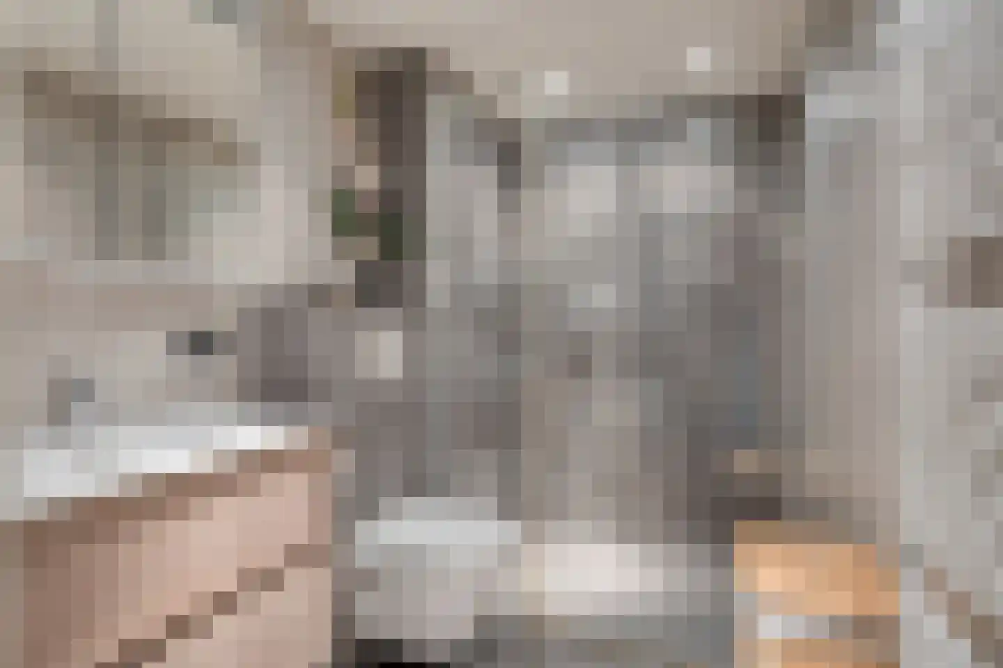 Clausstraat 44 Hulst thumbnail 18