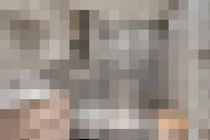 Clausstraat 44 Hulst thumbnail 18