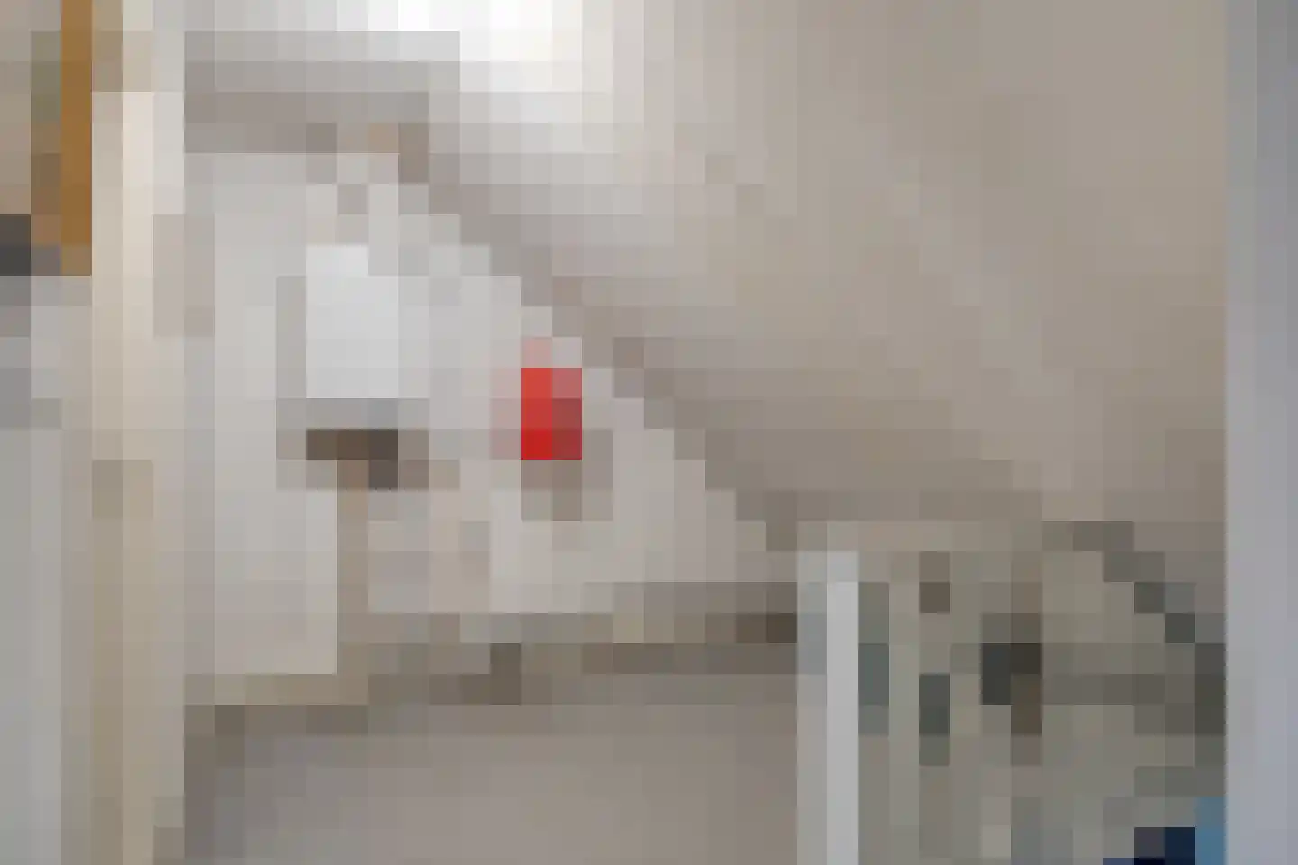 Clausstraat 44 Hulst thumbnail 23