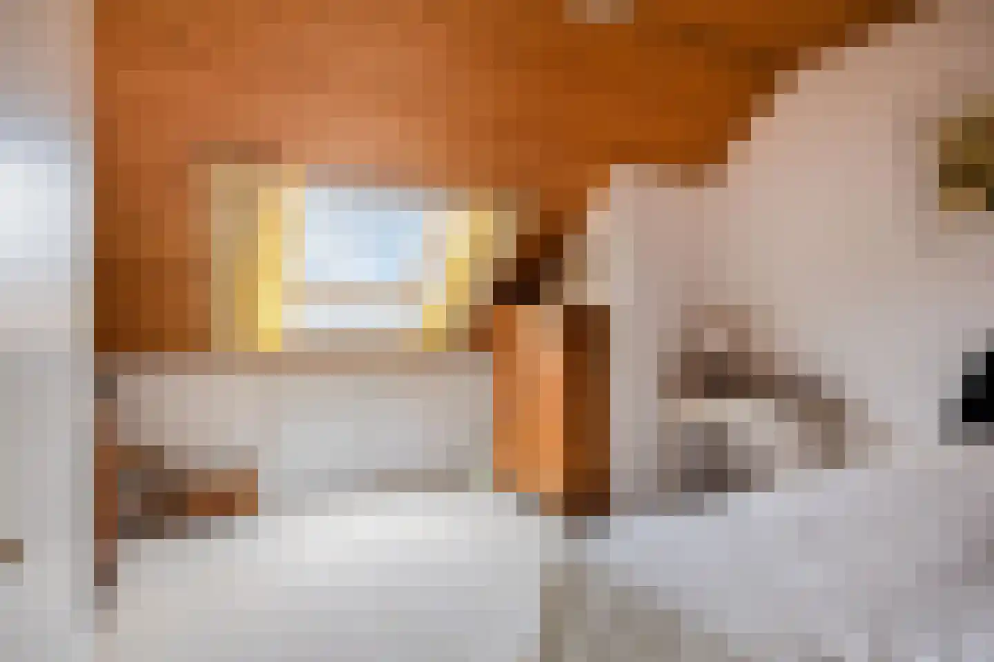 Clausstraat 44 Hulst thumbnail 25