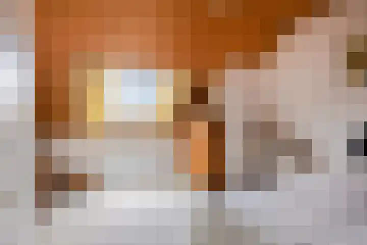 Clausstraat 44 Hulst thumbnail 25
