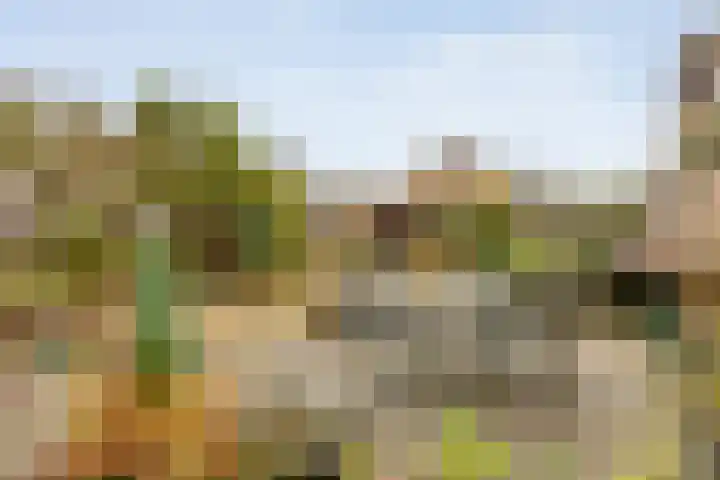 Clausstraat 44 Hulst thumbnail 28