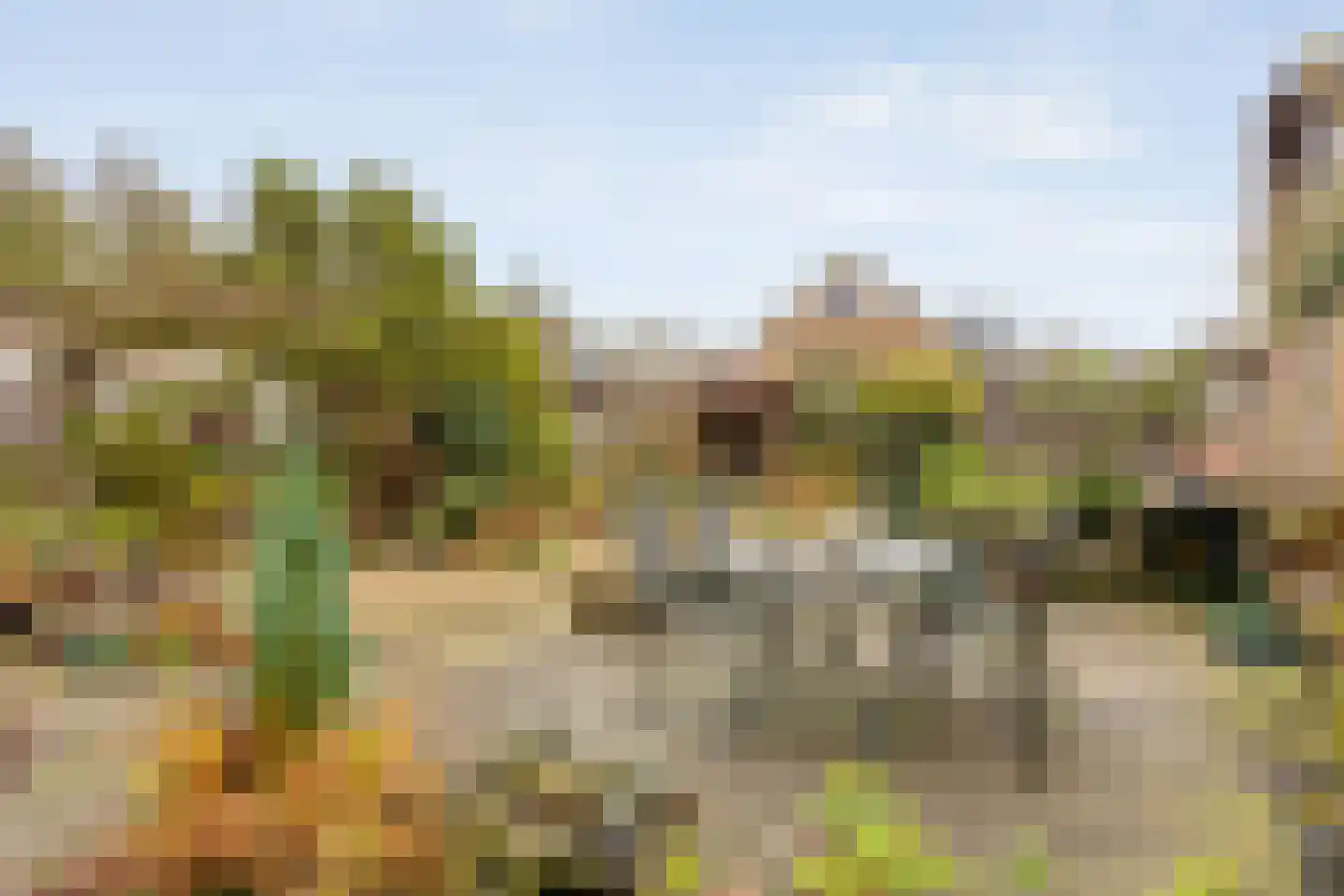 Clausstraat 44 Hulst thumbnail 28