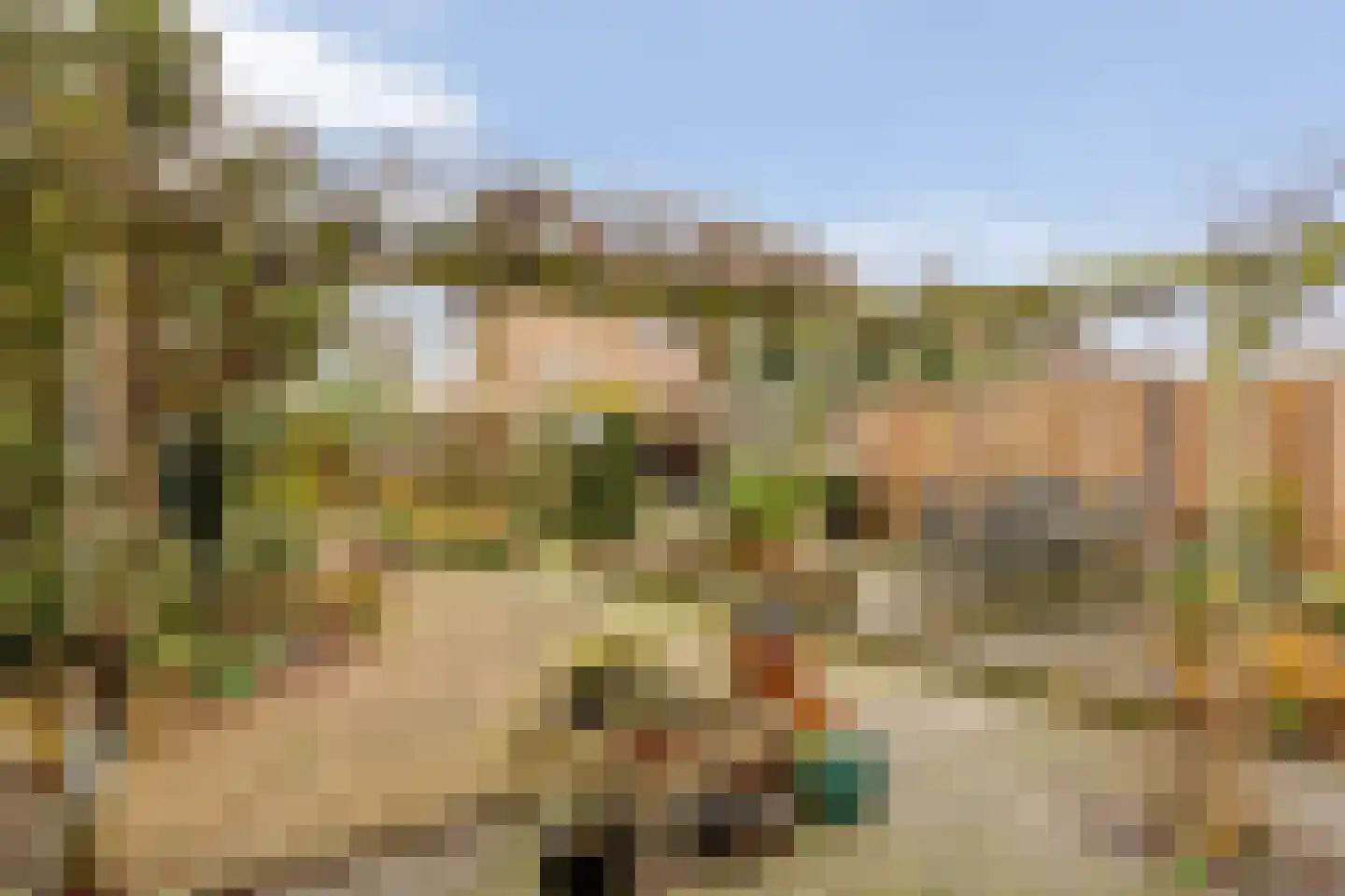 Clausstraat 44 Hulst thumbnail 29