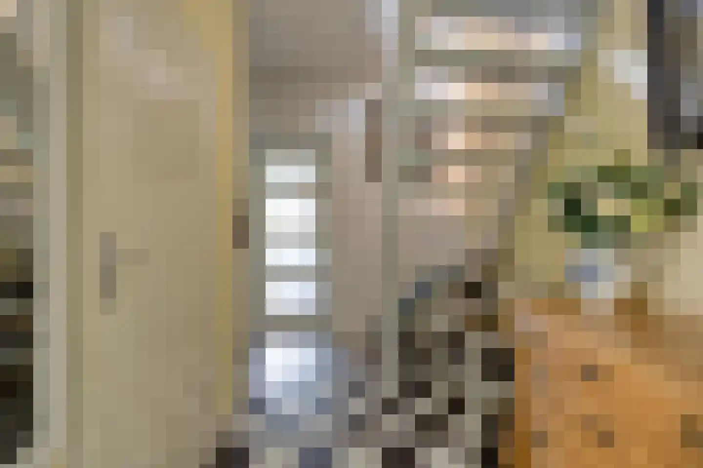 Clausstraat 44 Hulst foto 3