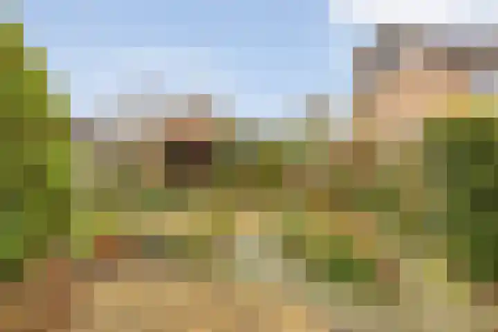 Clausstraat 44 Hulst thumbnail 31