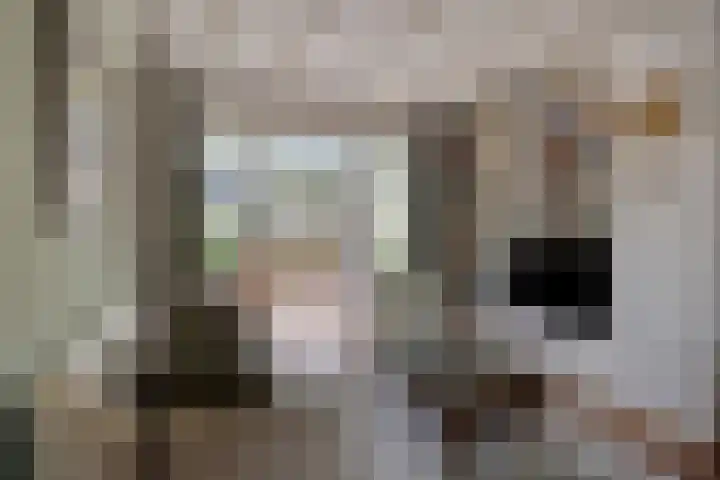 Clausstraat 44 Hulst thumbnail 5