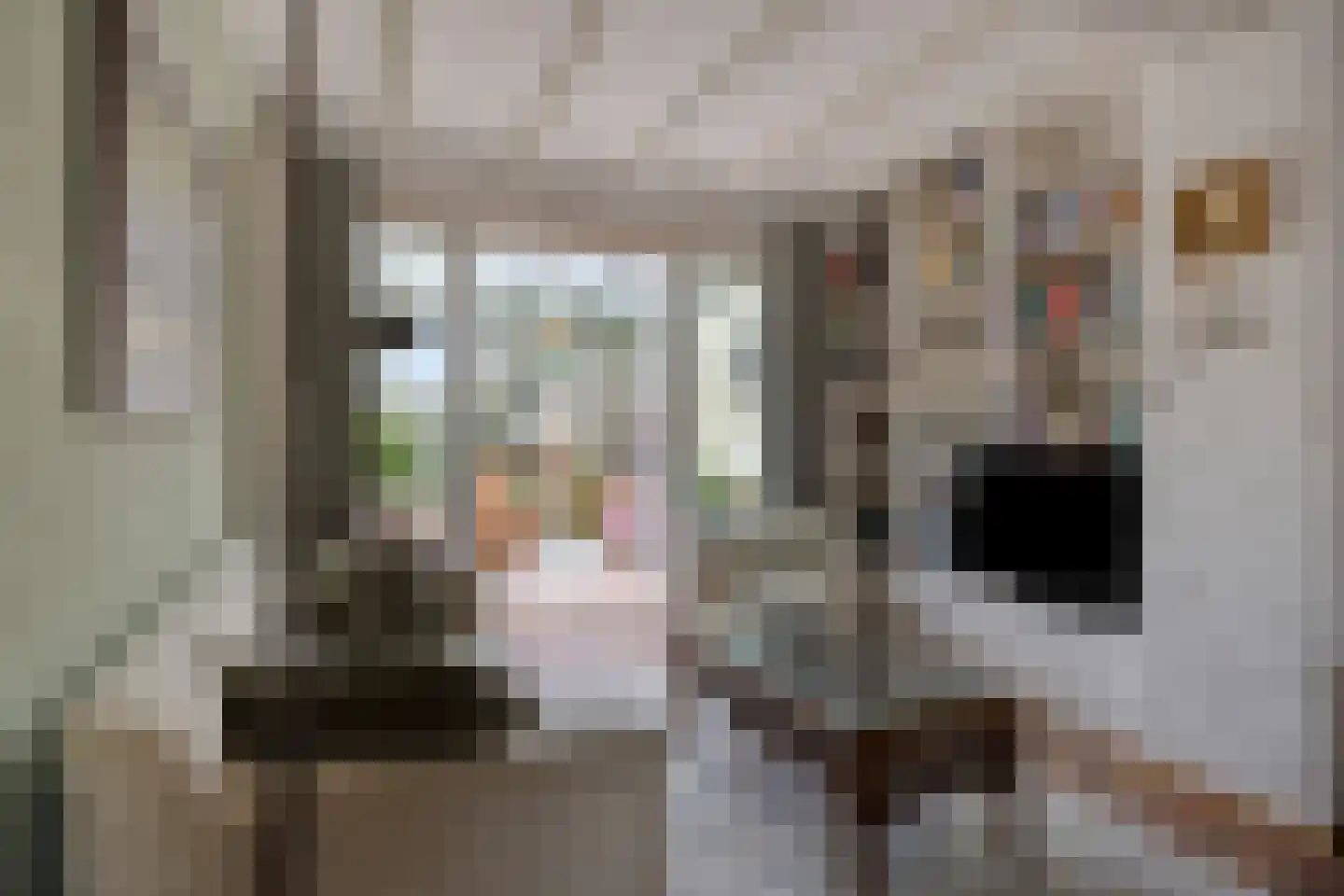 Clausstraat 44 Hulst thumbnail 5