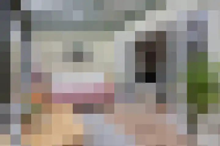 Clausstraat 44 Hulst thumbnail 8