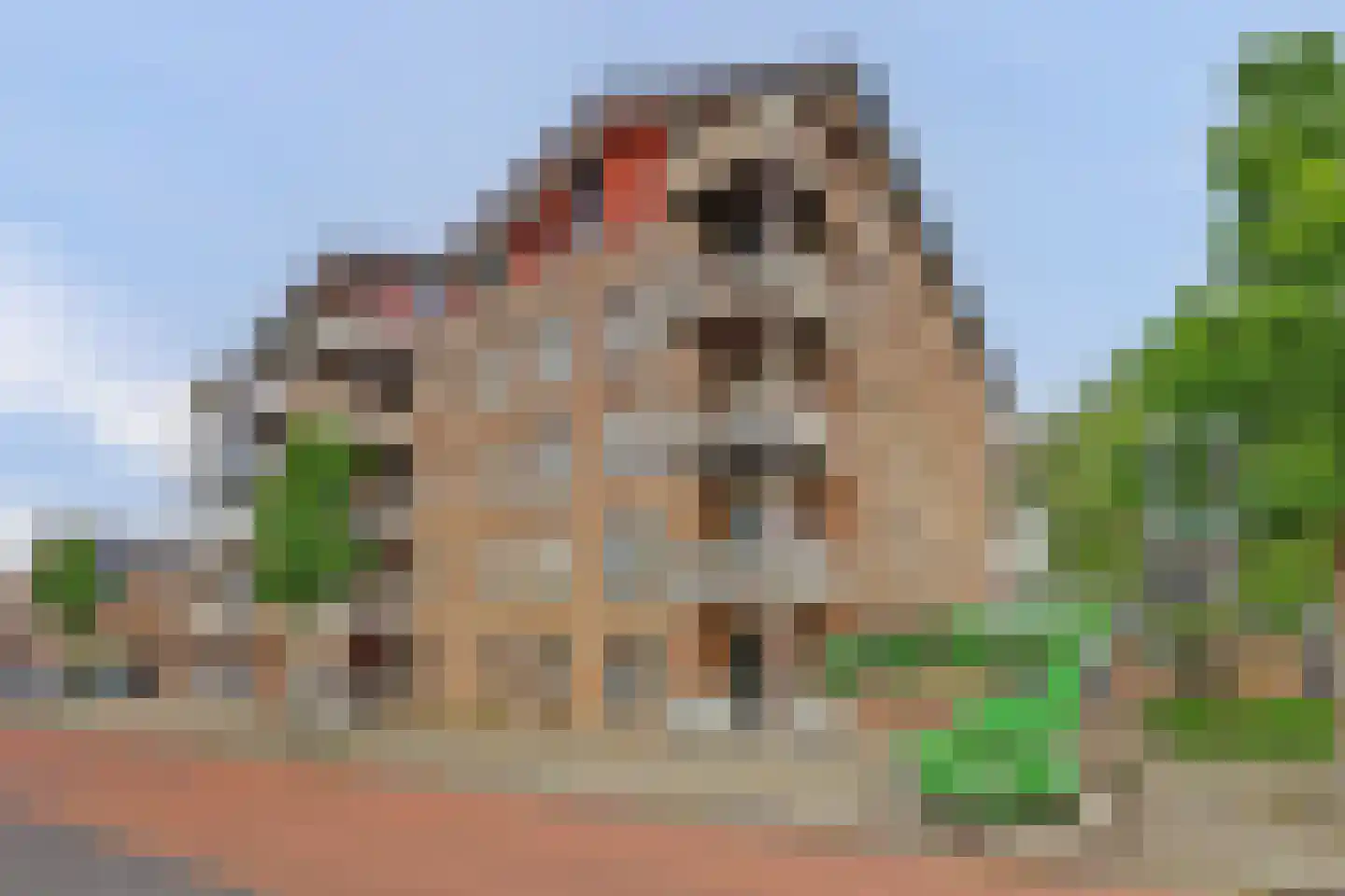Clausstraat 58 Hellevoetsluis thumbnail 26