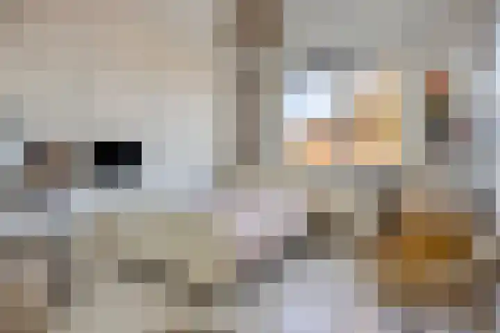 Clausstraat 6 Breda thumbnail 12