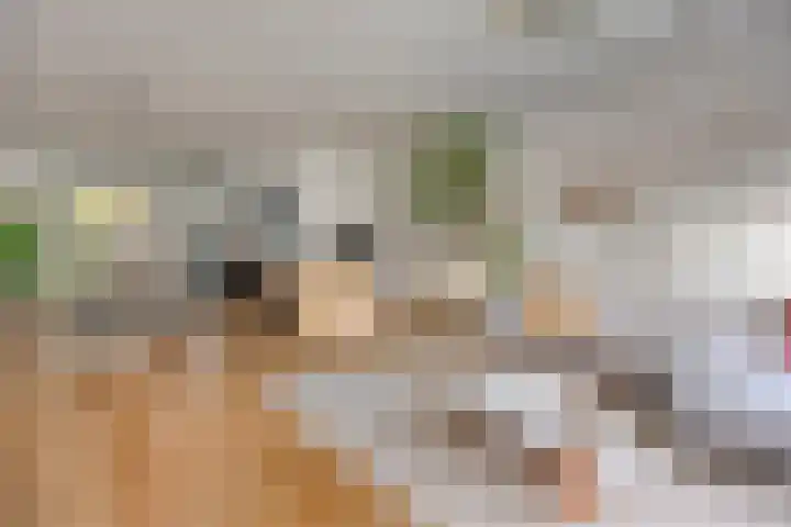 Clausstraat 6 Breda thumbnail 5