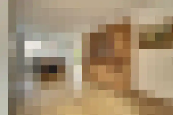 Clausstraat 6 Waarde thumbnail 4