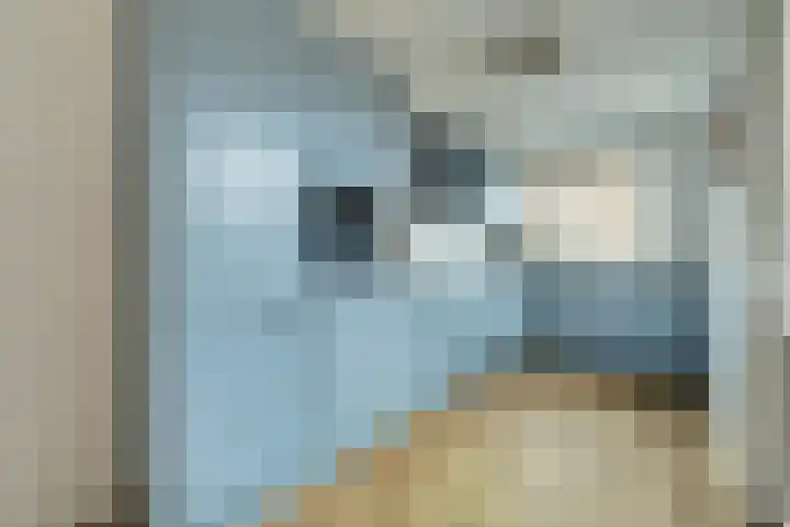Clausstraat 6 Waarde thumbnail 9