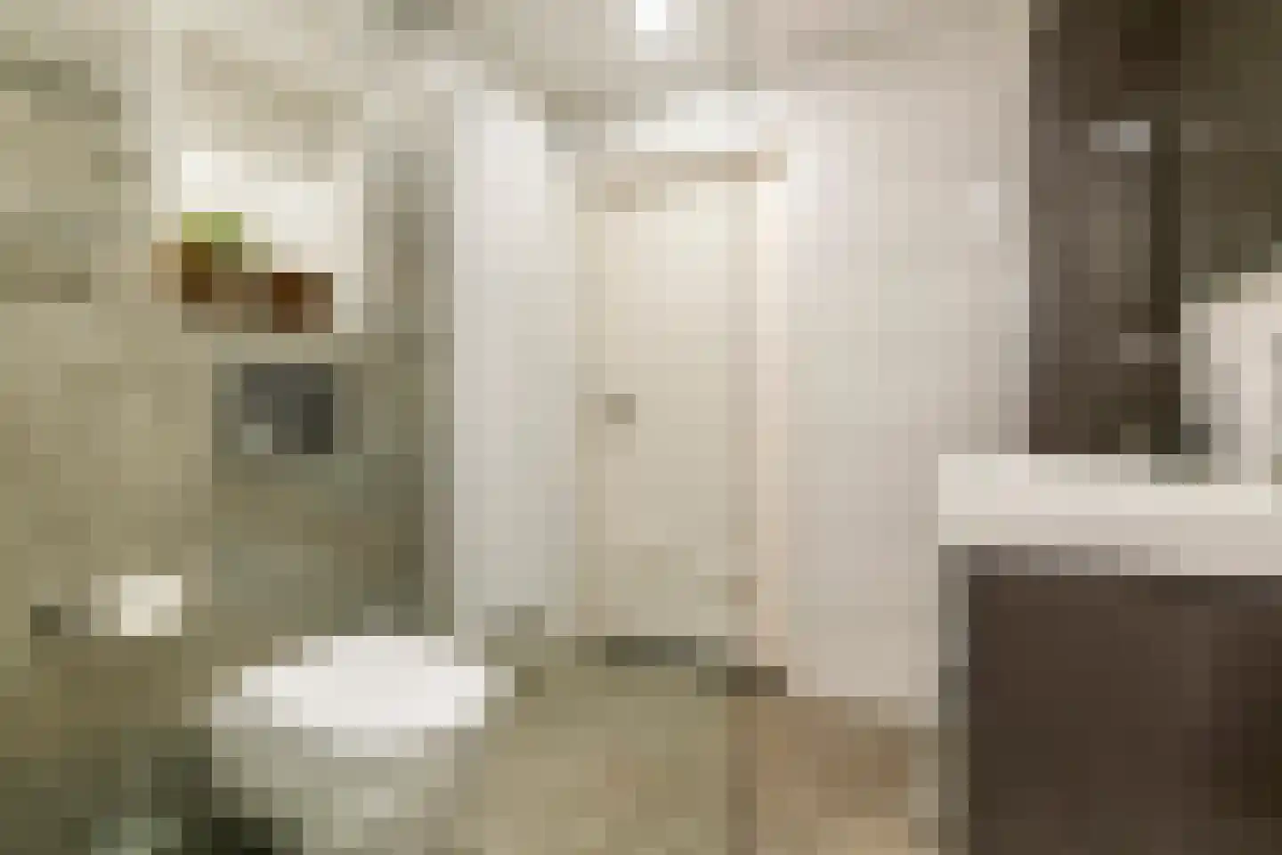 Clausstraat 7 Beneden-Leeuwen thumbnail 27