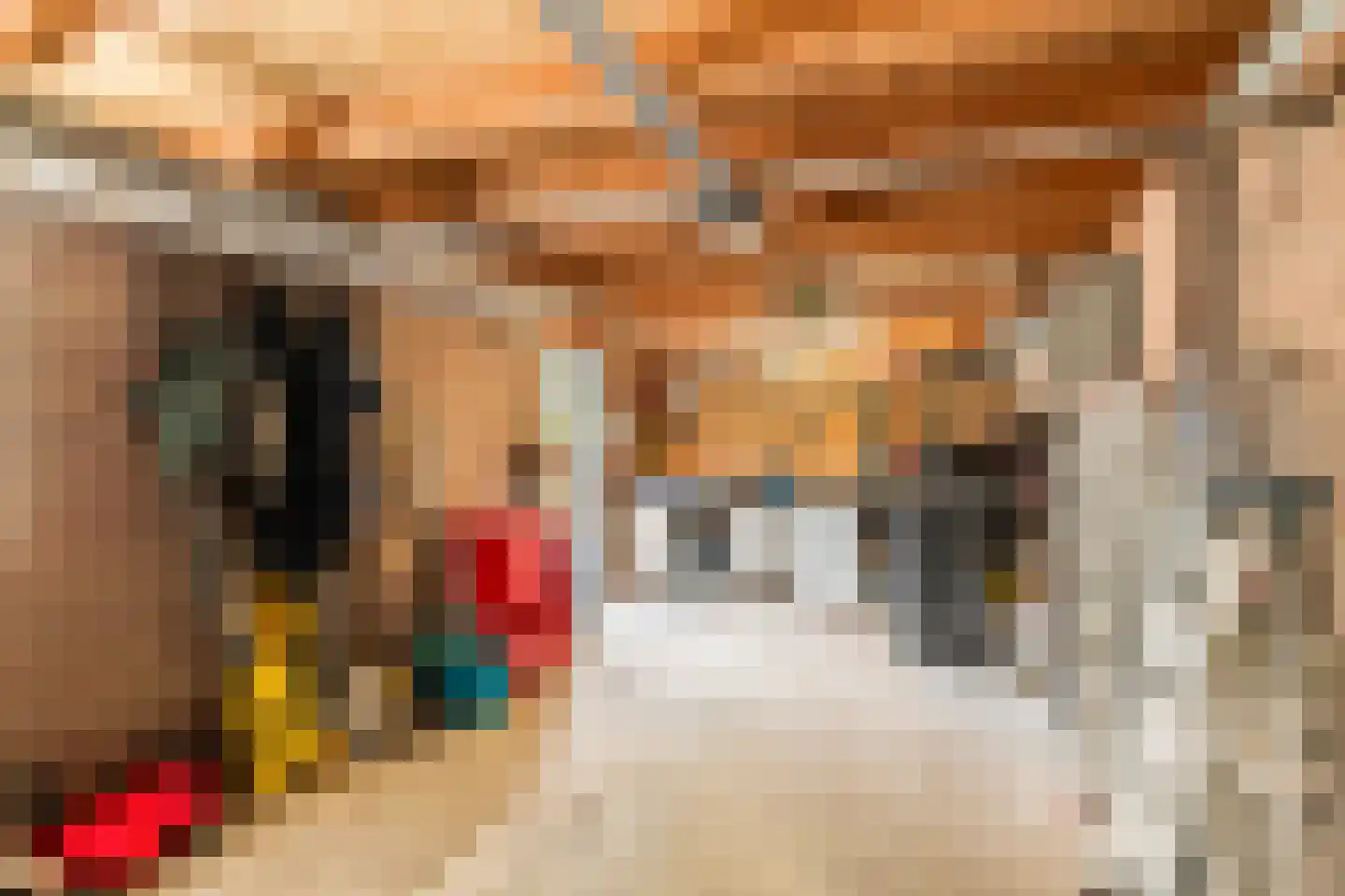 Clausstraat 7 Beneden-Leeuwen thumbnail 30