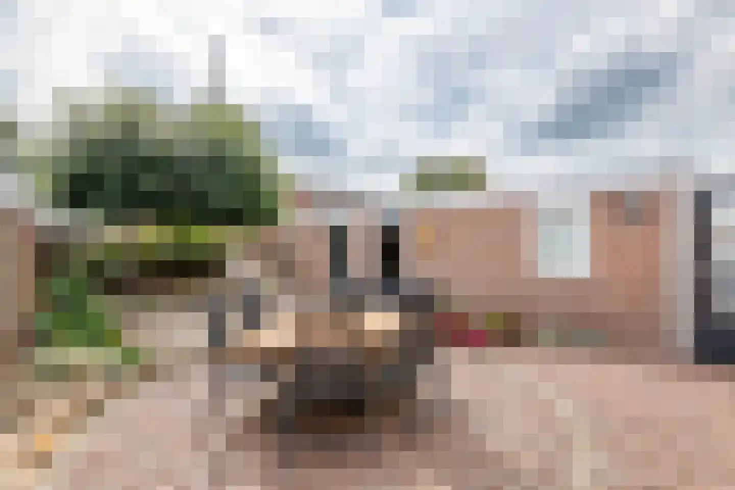 Clausstraat 7 Beneden-Leeuwen thumbnail 35