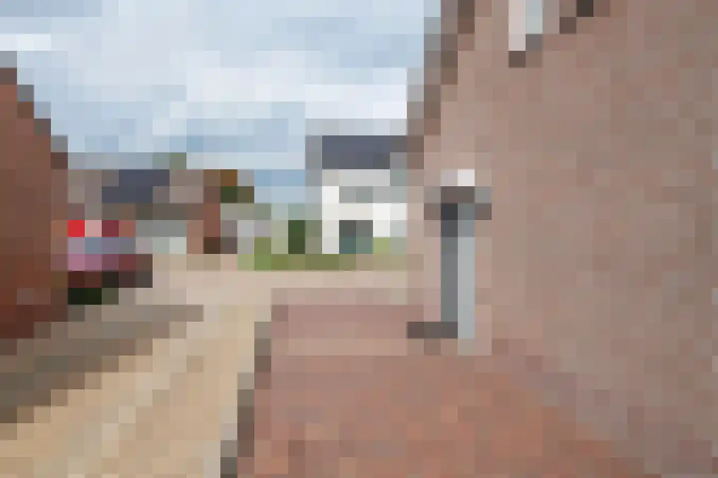 Clausstraat 7 Beneden-Leeuwen thumbnail 36