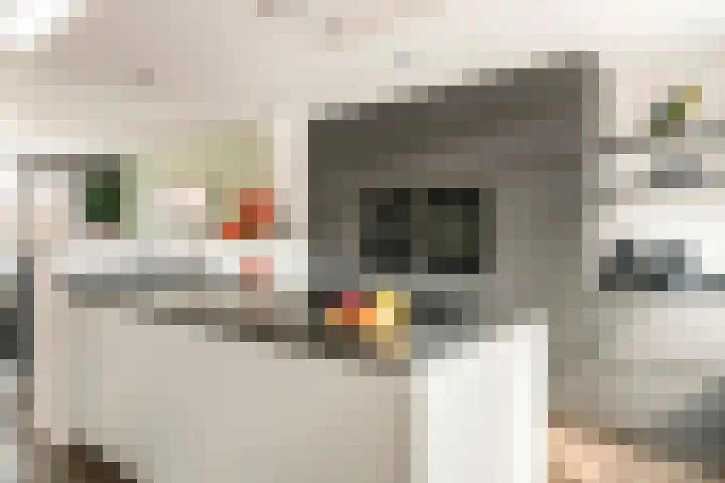Clausstraat 7 Beneden-Leeuwen thumbnail 4
