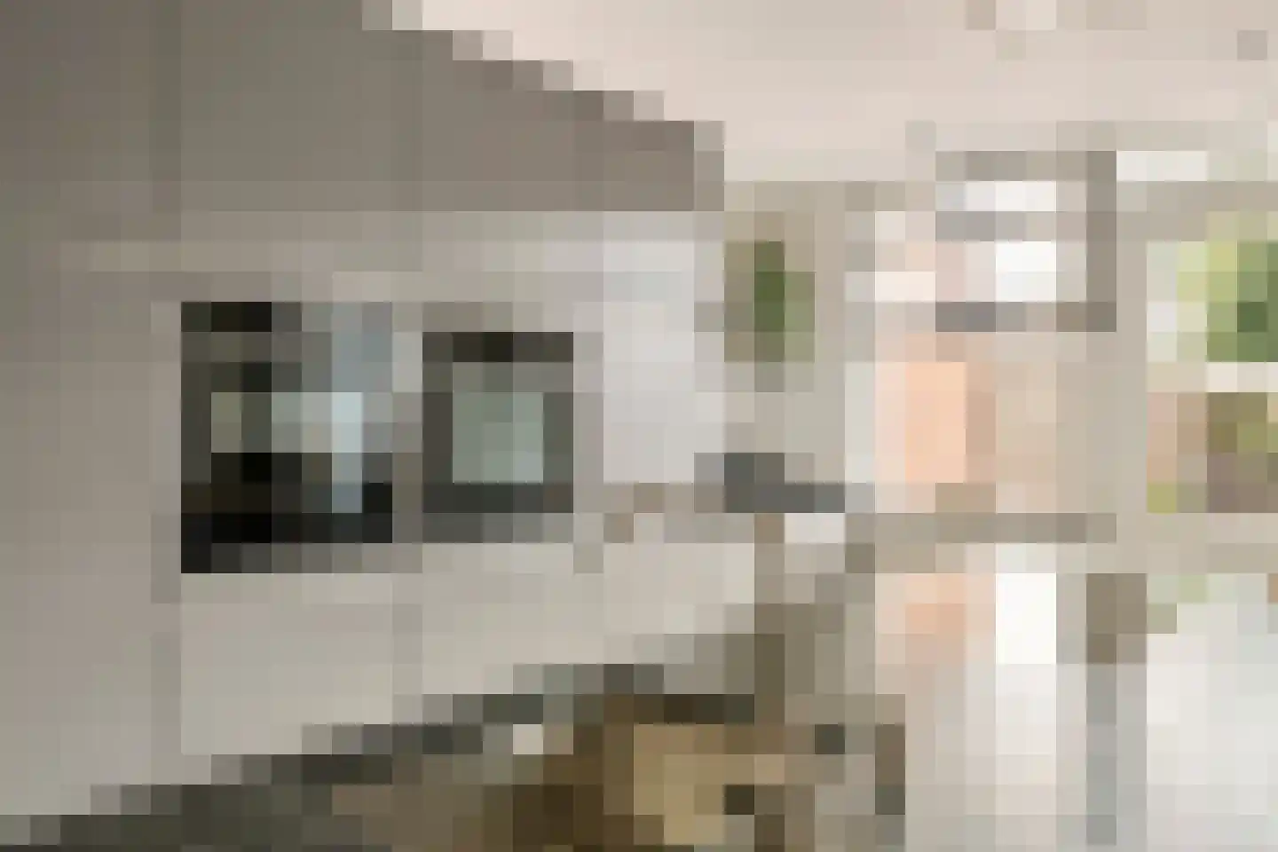 Clausstraat 7 Beneden-Leeuwen thumbnail 6
