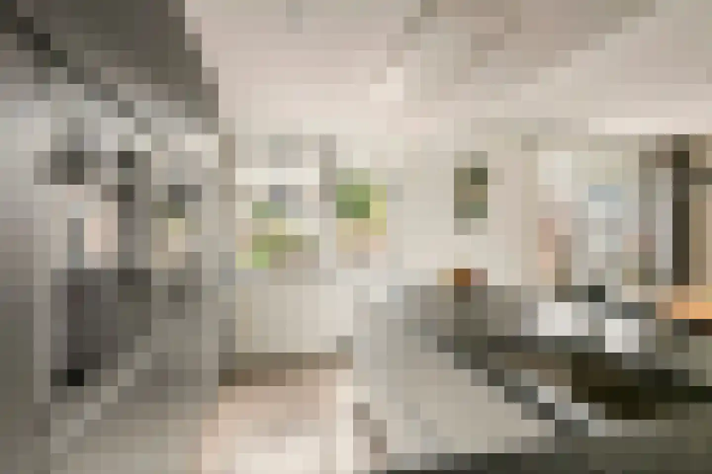 Clausstraat 7 Beneden-Leeuwen thumbnail 7