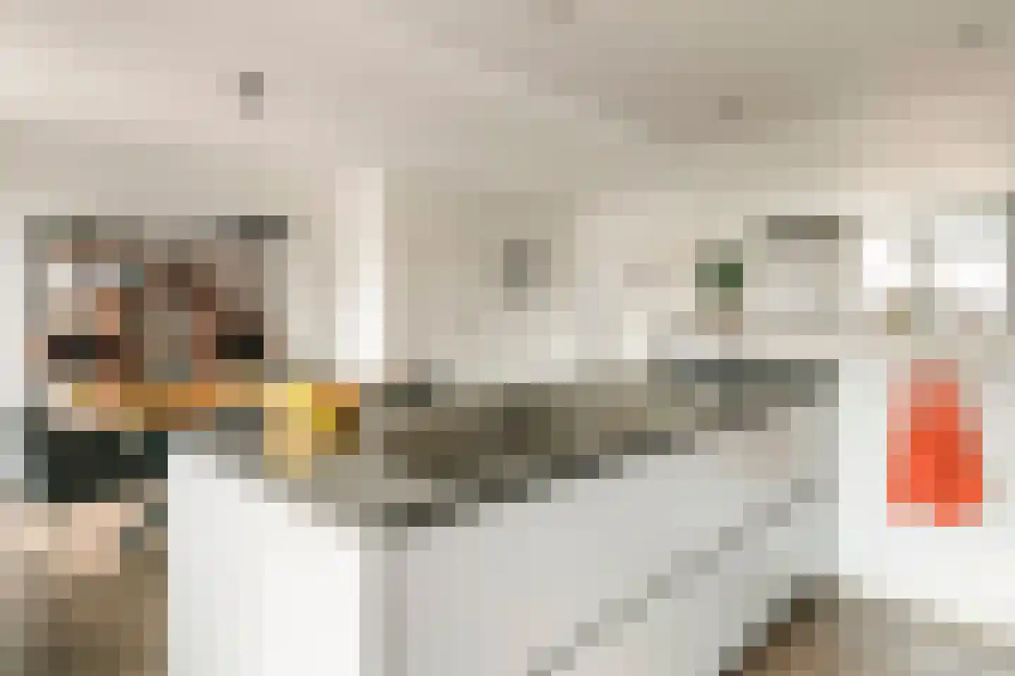Clausstraat 7 Beneden-Leeuwen thumbnail 8