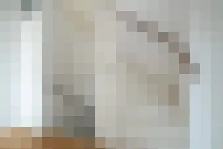 Clausstraat 8 Breda thumbnail 36