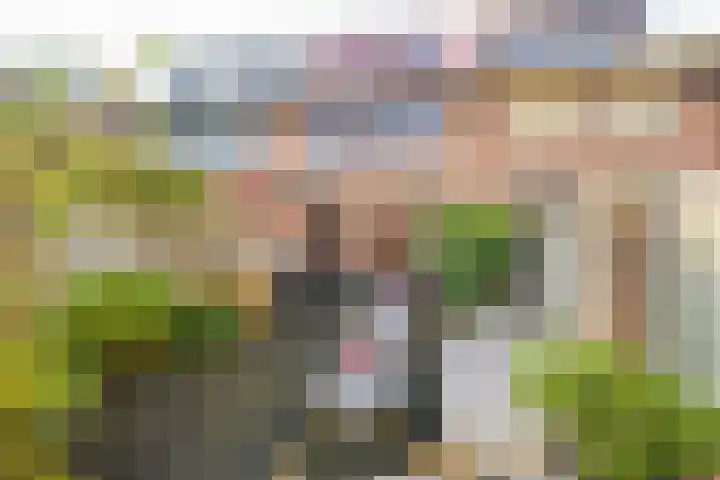 Clausstraat 8 Breda thumbnail 5