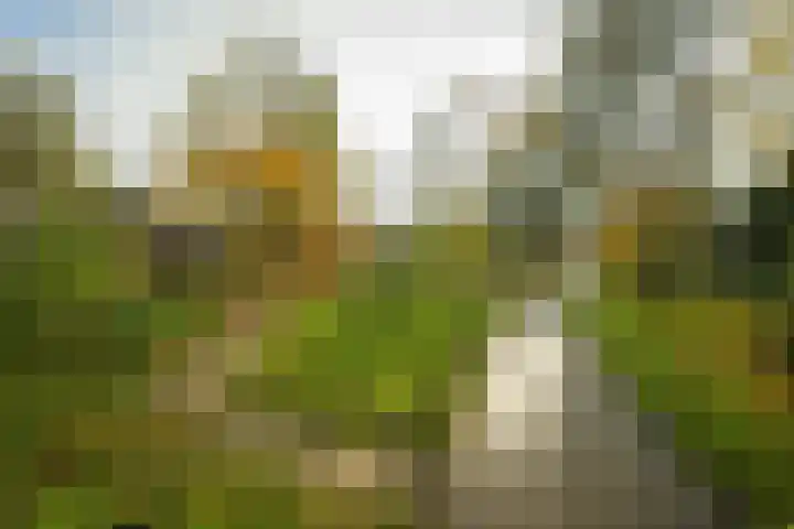 Clausstraat 8 Breda thumbnail 58