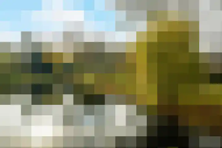 Clausstraat 8 Breda thumbnail 61