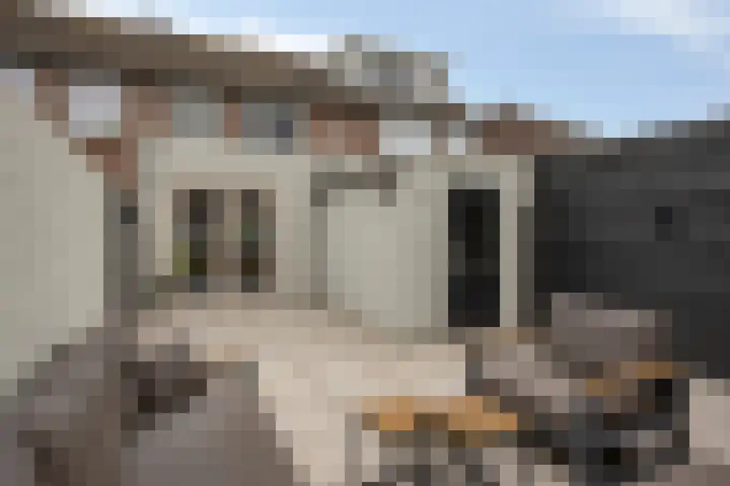 Clausstraat 9 Rijen thumbnail 8