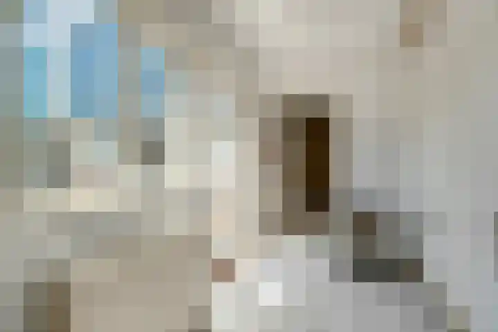 Clausstraat 9 Zegveld thumbnail 20
