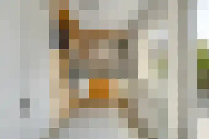 Clausstraat 9 Zegveld thumbnail 21