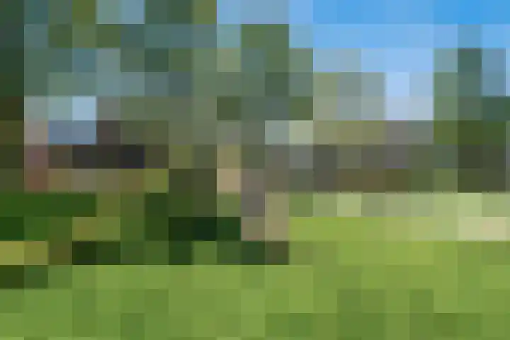 Clausstraat 9 Zegveld thumbnail 52