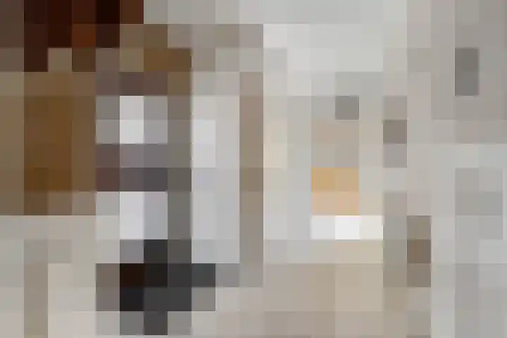Clausstraat 9 Zegveld thumbnail 8