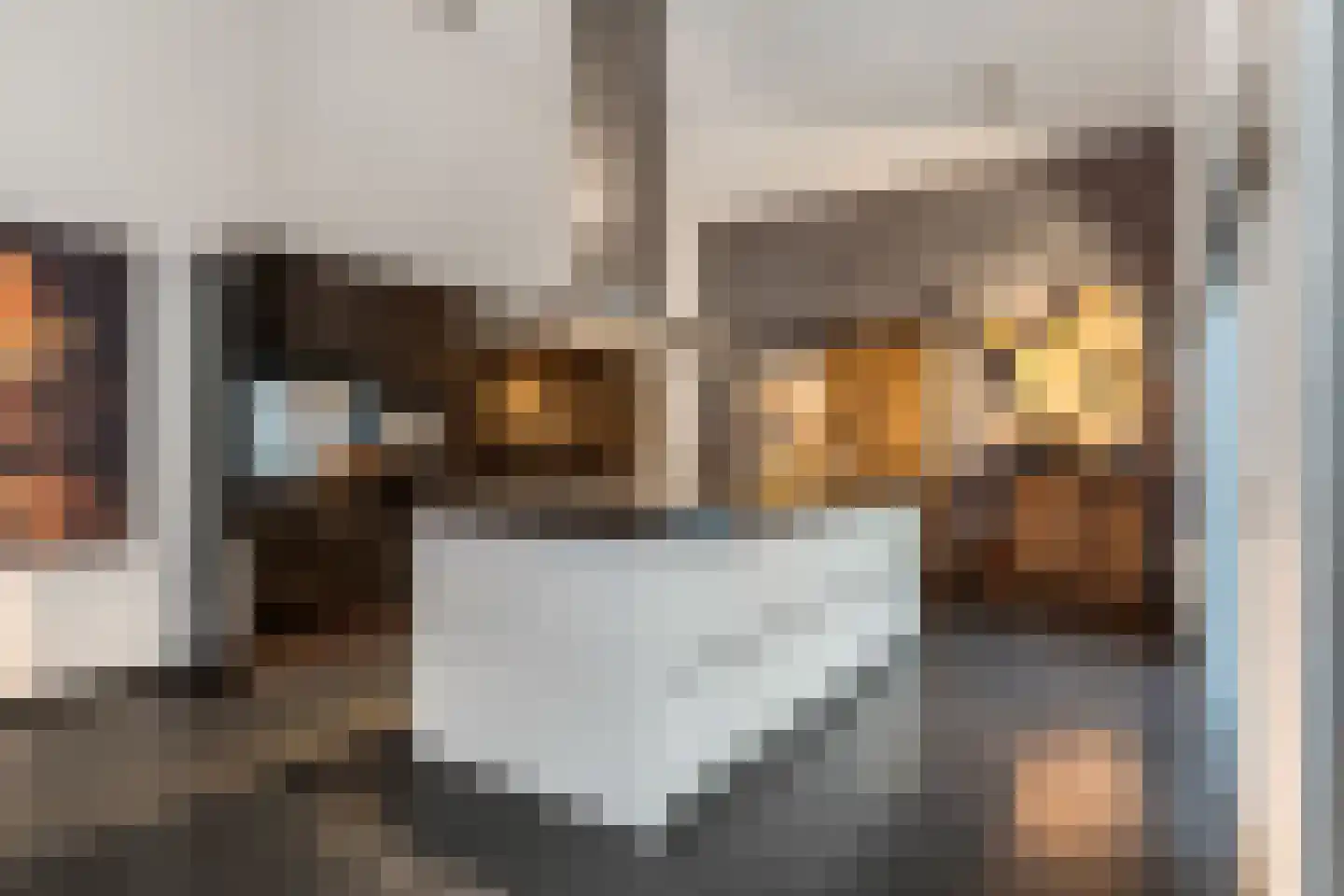 Claustrum 24 Nijmegen thumbnail 16