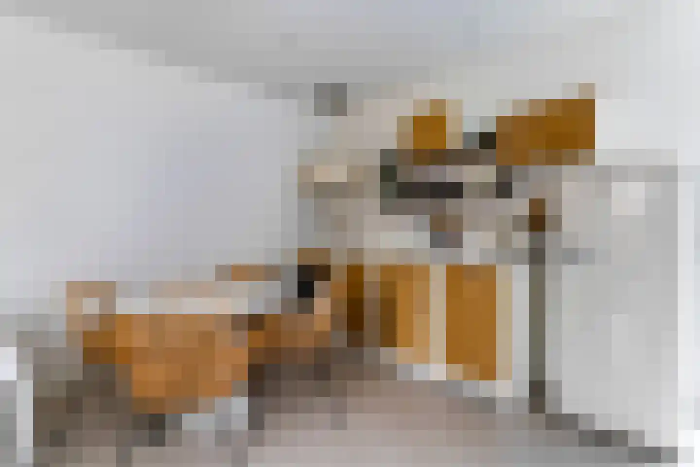 Claustrum 24 Nijmegen thumbnail 40