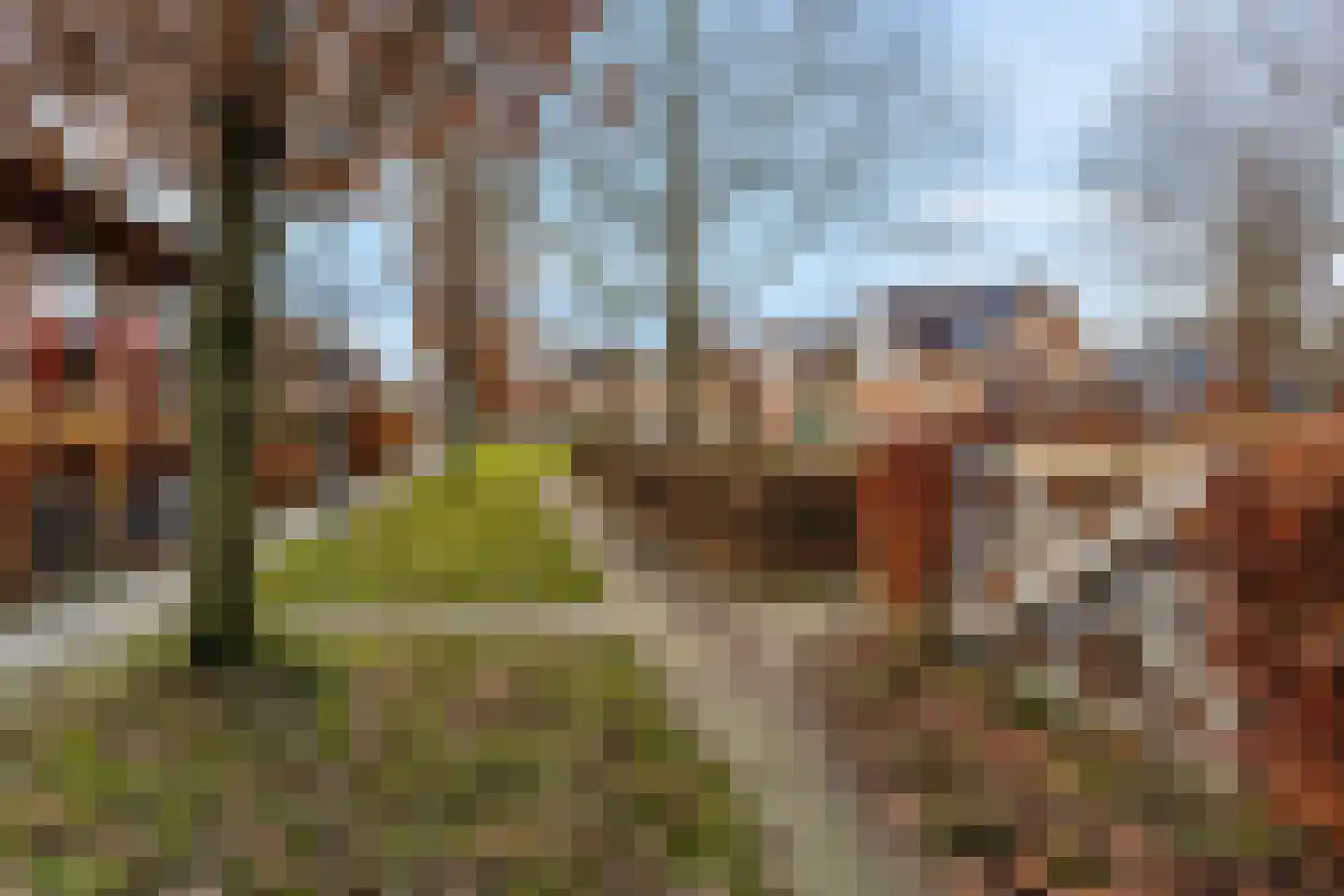 Claustrum 24 Nijmegen thumbnail 55